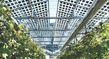 Τελευταία εταιρικά blogs για Η Ιταλία ανακοινώνει νέους κανονισμούς για την επιλογή τοποθεσιών έργων ηλιακής ενέργειας και φορολογικά κίνητρα για την ηλιακή ενέργεια